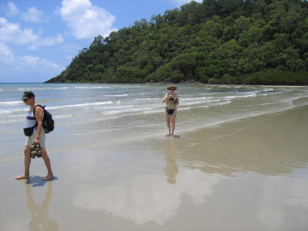 CairnsTC356 Daintree.jpg